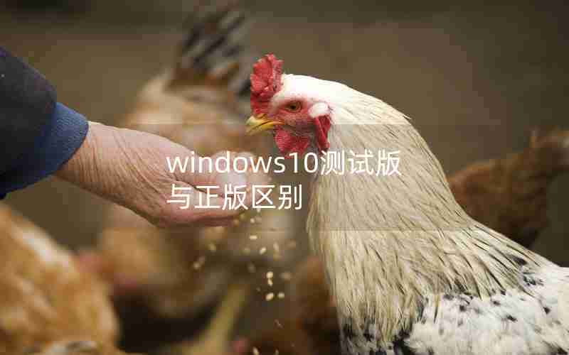 windows10测试版与正版区别