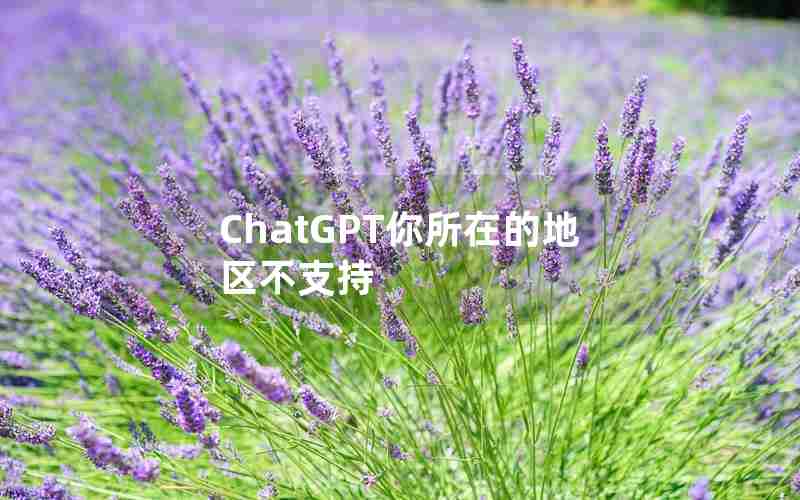 ChatGPT你所在的地区不支持