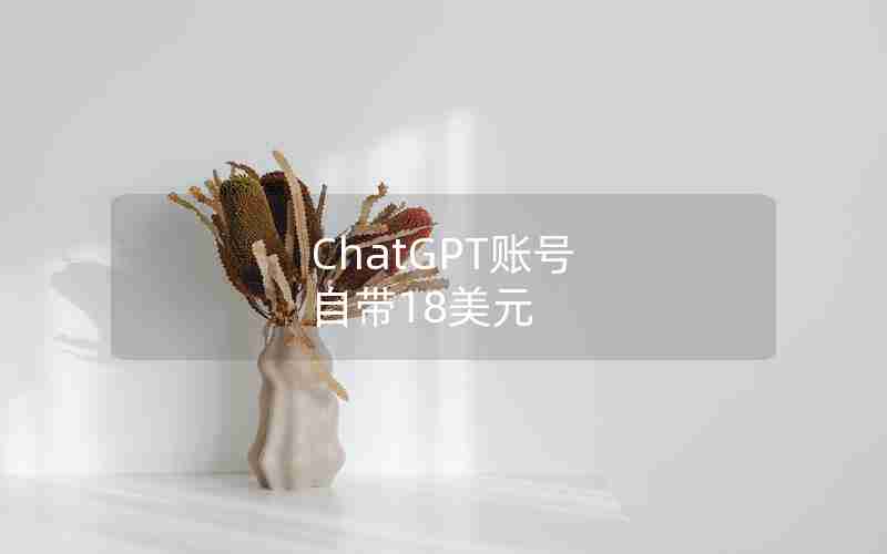 ChatGPT账号 自带18美元