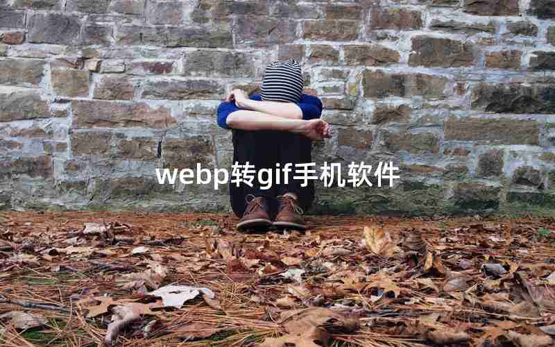 webp转gif手机软件