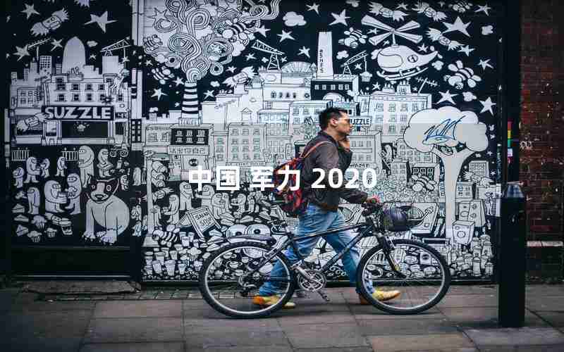 中国 军力 2020