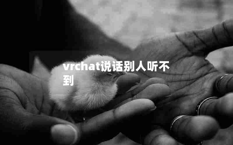 vrchat说话别人听不到