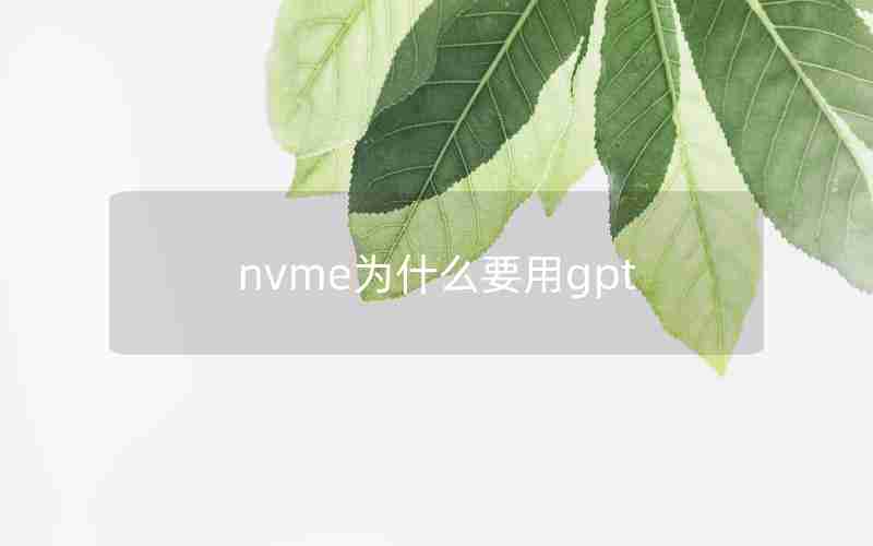 nvme为什么要用gpt