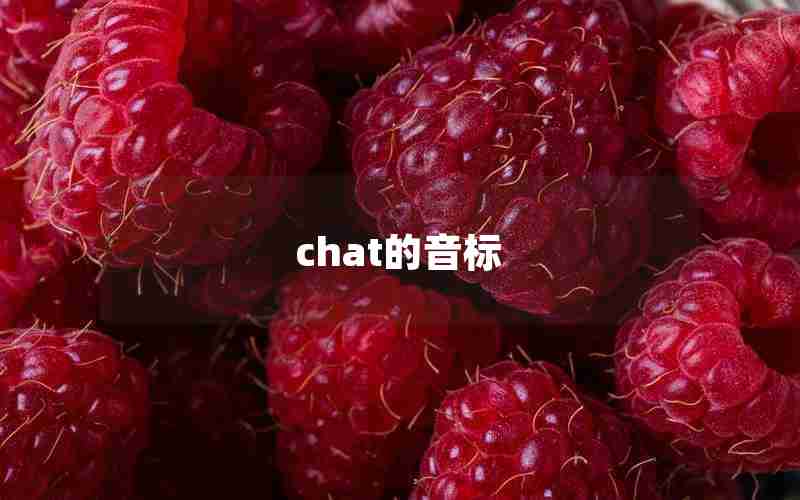 chat的音标