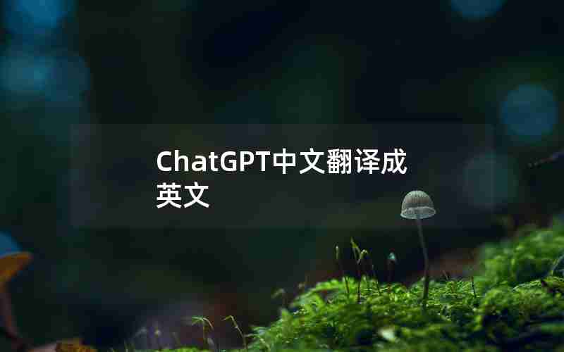ChatGPT中文翻译成英文