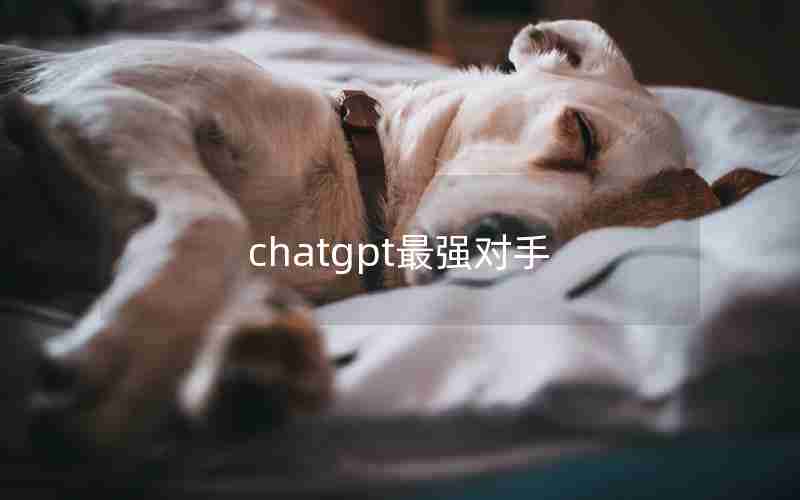 chatgpt最强对手