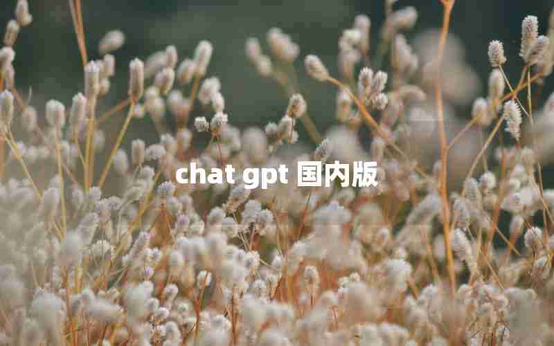 chat gpt 国内版