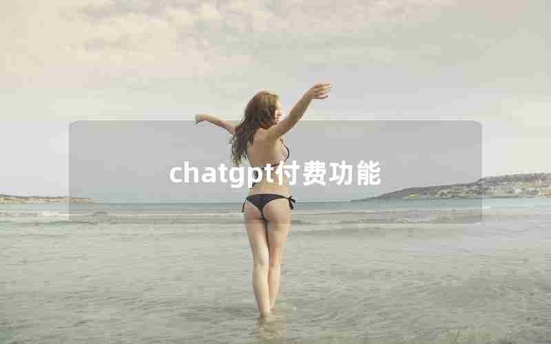 chatgpt付费功能