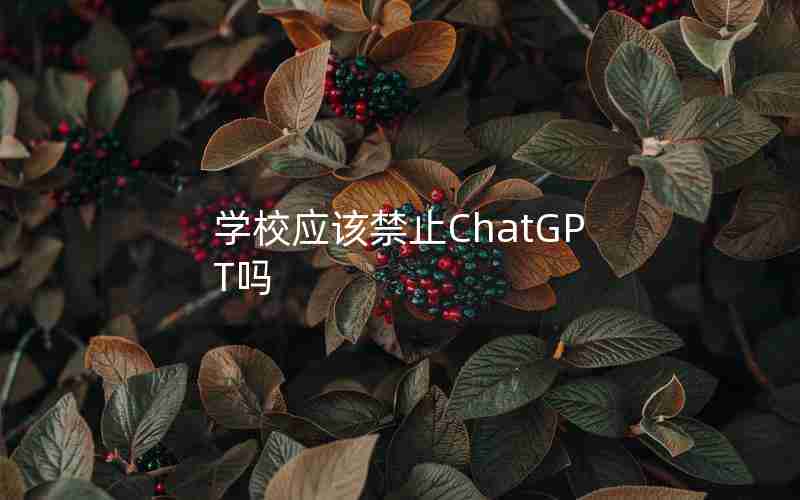 学校应该禁止ChatGPT吗