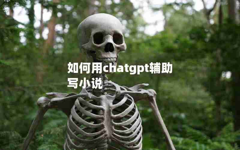 如何用chatgpt辅助写小说(小说创作辅助器app)