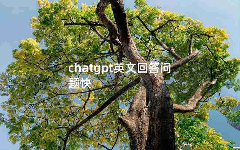 chatgpt英文回答问题快,chat的中文