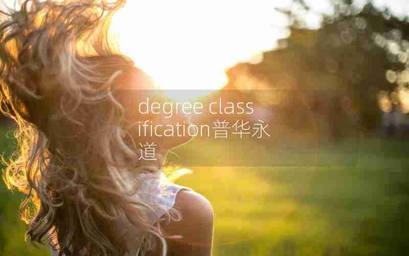 degree classification普华永道