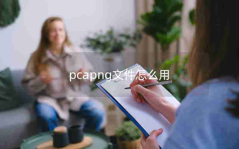 pcapng文件怎么用