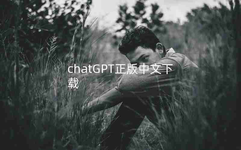 chatGPT正版中文下载