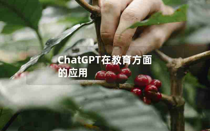 ChatGPT在教育方面的应用