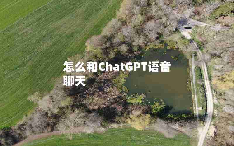 怎么和ChatGPT语音聊天