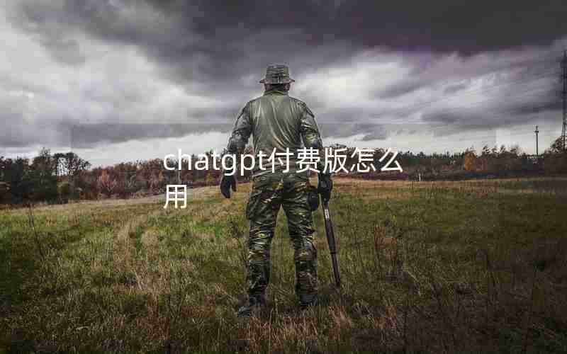 chatgpt付费版怎么用