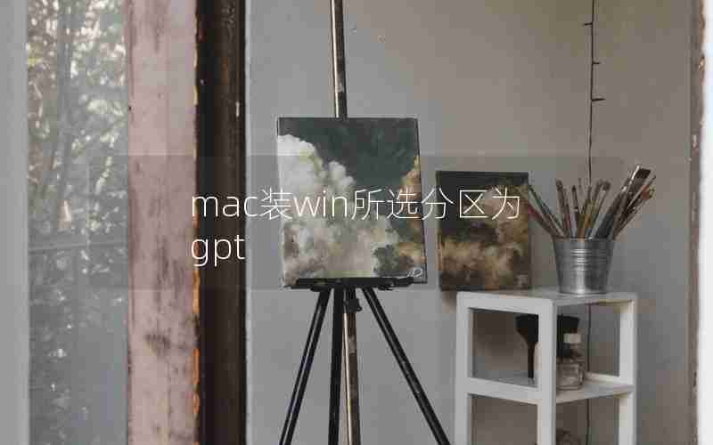 mac装win所选分区为gpt