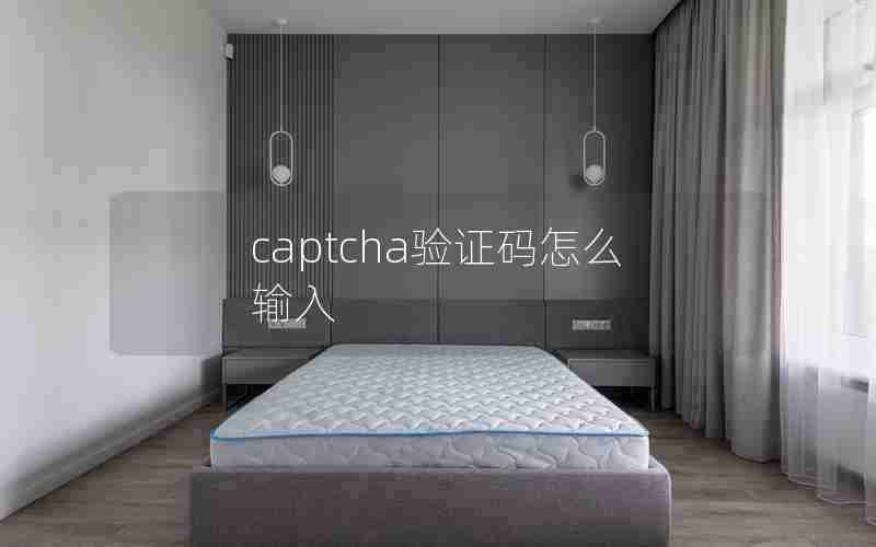 captcha验证码怎么输入