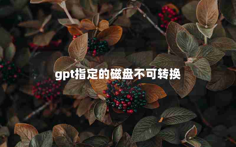 gpt指定的磁盘不可转换