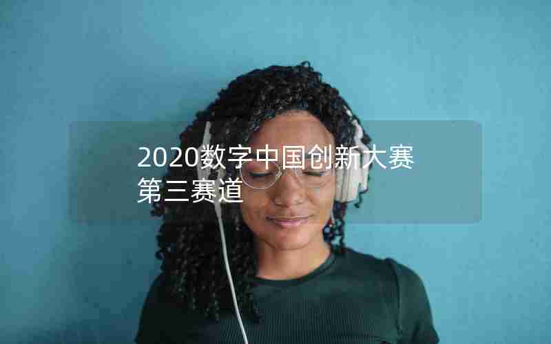 2020数字中国创新大赛第三赛道