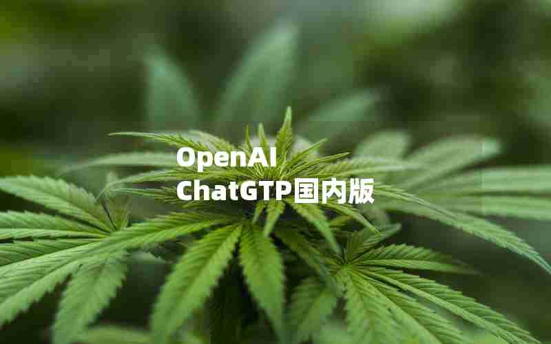 OpenAI ChatGTP国内版