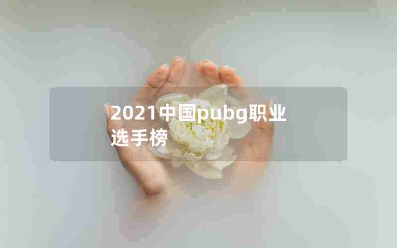 2021中国pubg职业选手榜