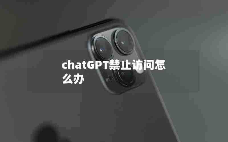 chatGPT禁止访问怎么办(chatGPT禁止访问怎么办)