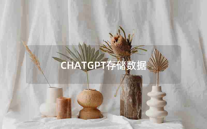 CHATGPT存储数据