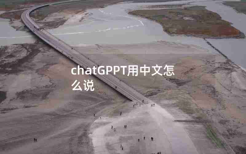 chatGPPT用中文怎么说