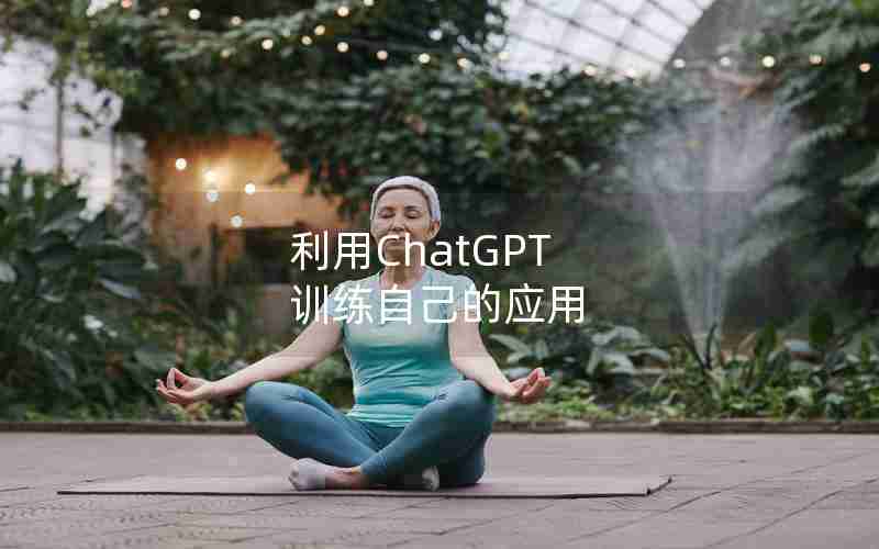 利用ChatGPT 训练自己的应用