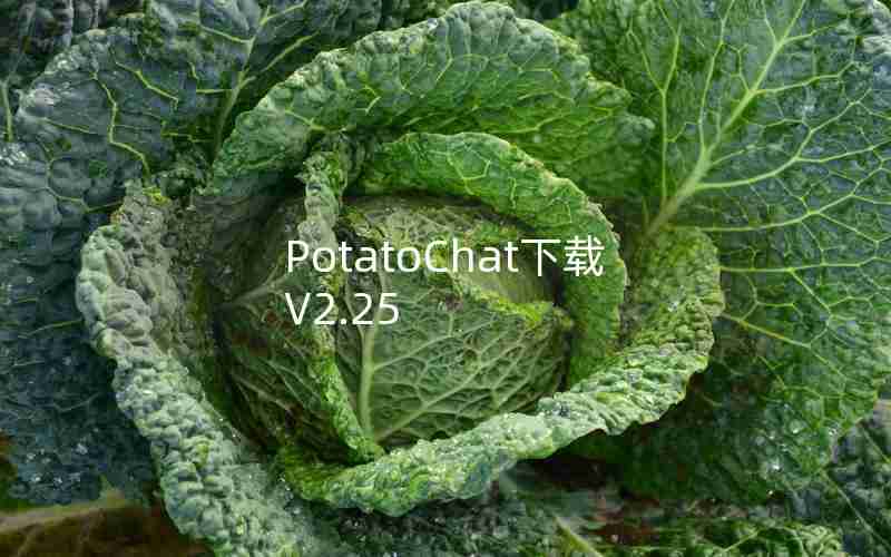 PotatoChat下载V2.25