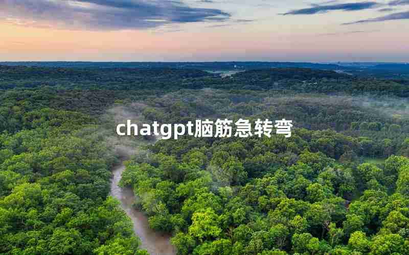 chatgpt脑筋急转弯、chatGPT回答广州各区发展