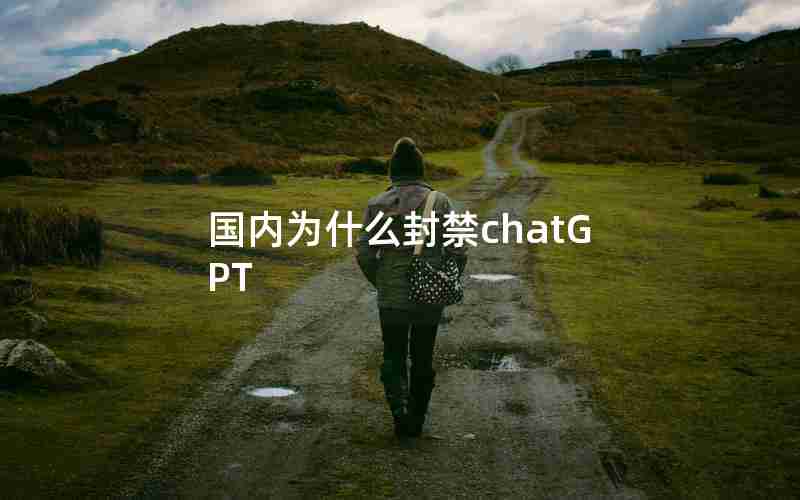 国内为什么封禁chatGPT