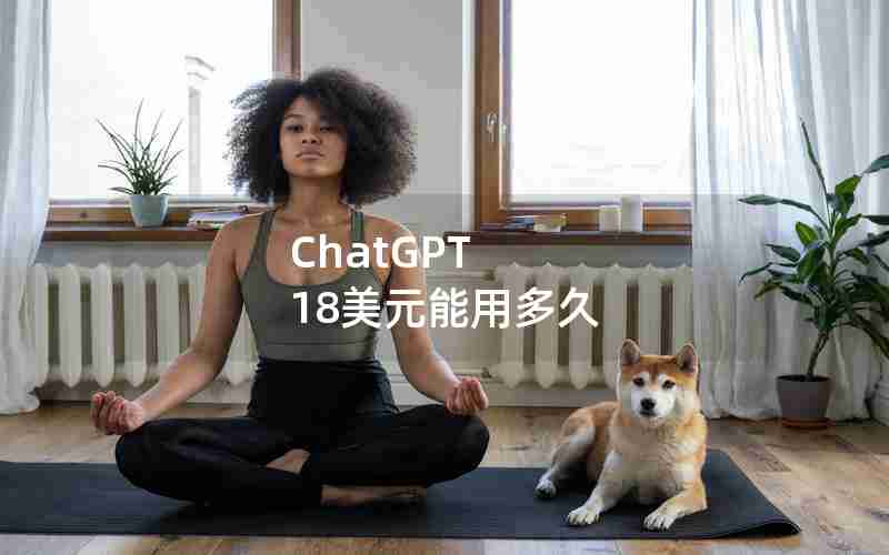 ChatGPT 18美元能用多久