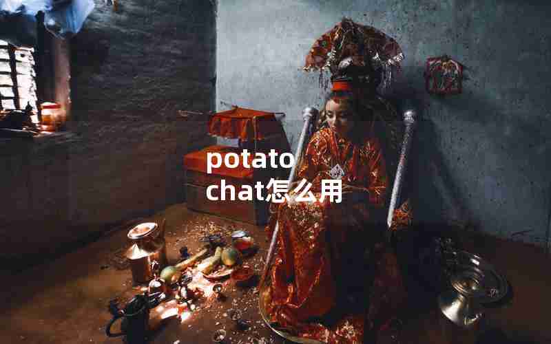 potato chat怎么用