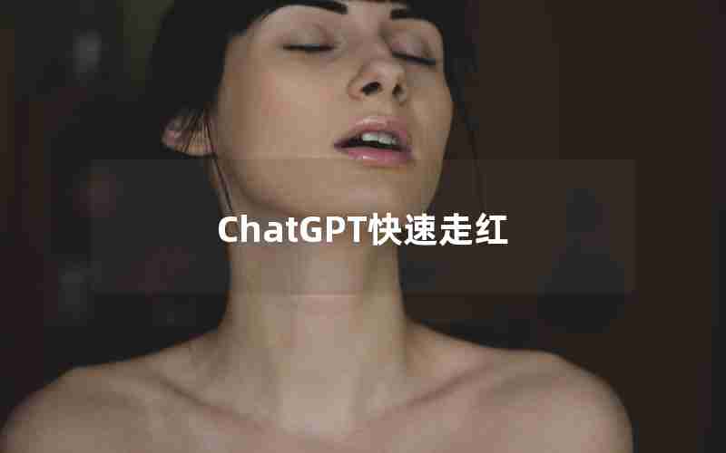 ChatGPT快速走红