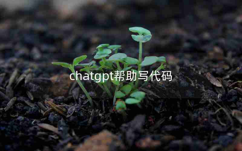 chatgpt帮助写代码