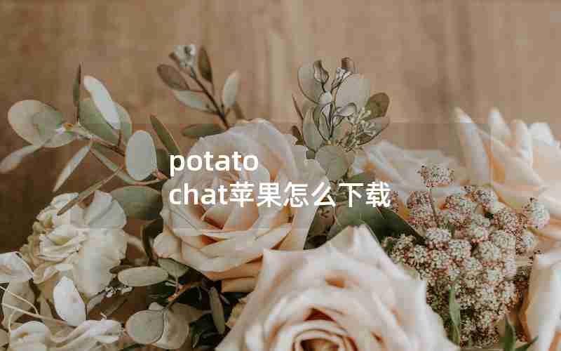 potato chat苹果怎么下载