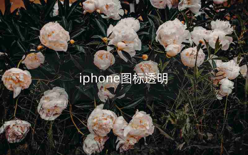 iphone图标透明