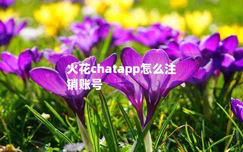 火花chatapp怎么注销账号