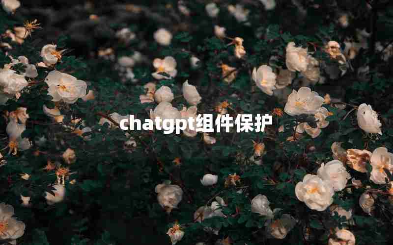 chatgpt组件保护