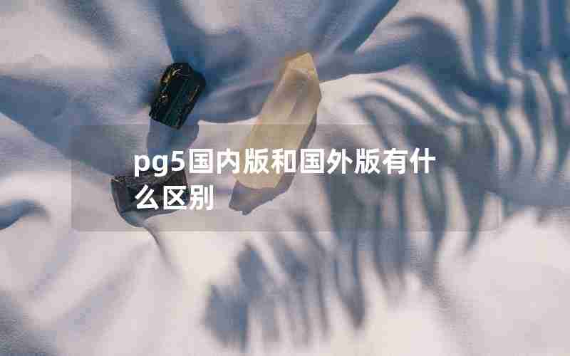 pg5国内版和国外版有什么区别