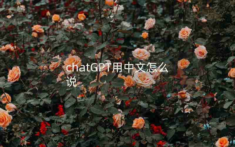chatGPT用中文怎么说