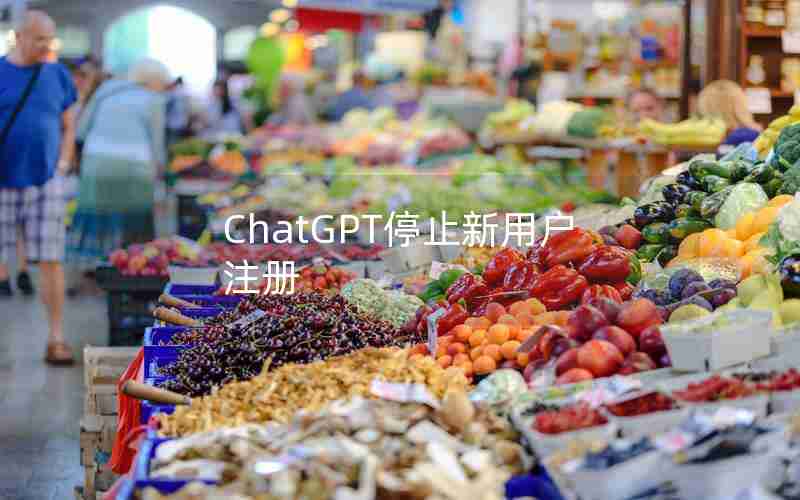 ChatGPT停止新用户注册