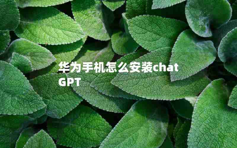 华为手机怎么安装chatGPT