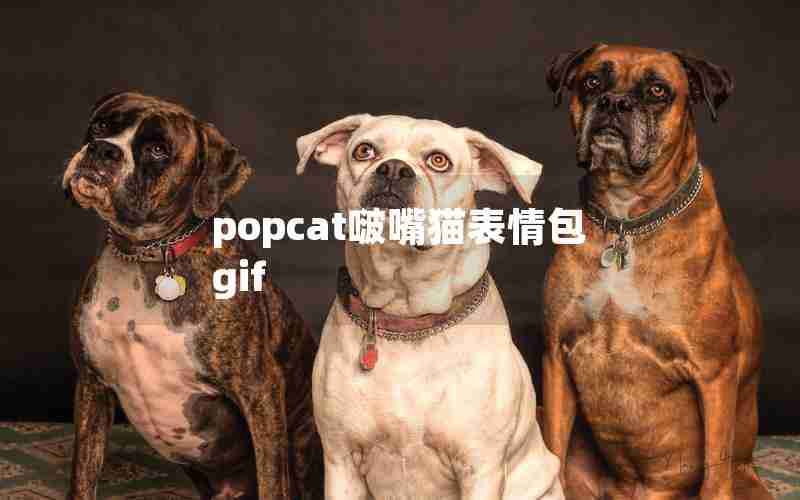 popcat啵嘴猫表情包gif