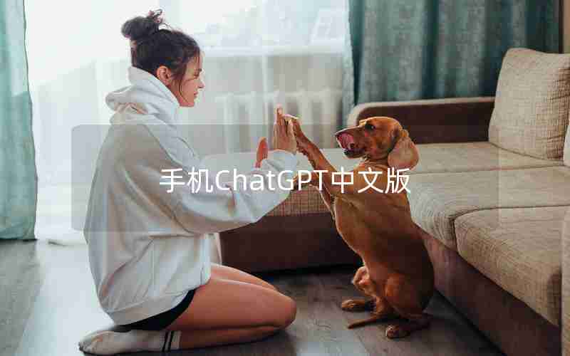 手机ChatGPT中文版