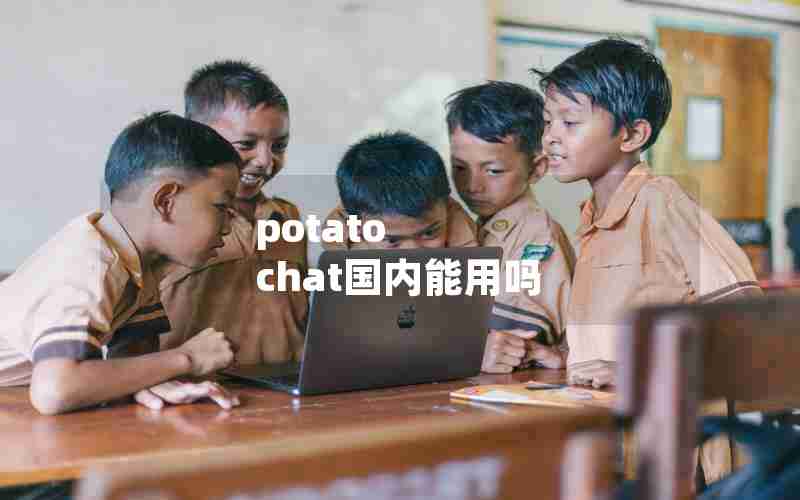 potato chat国内能用吗