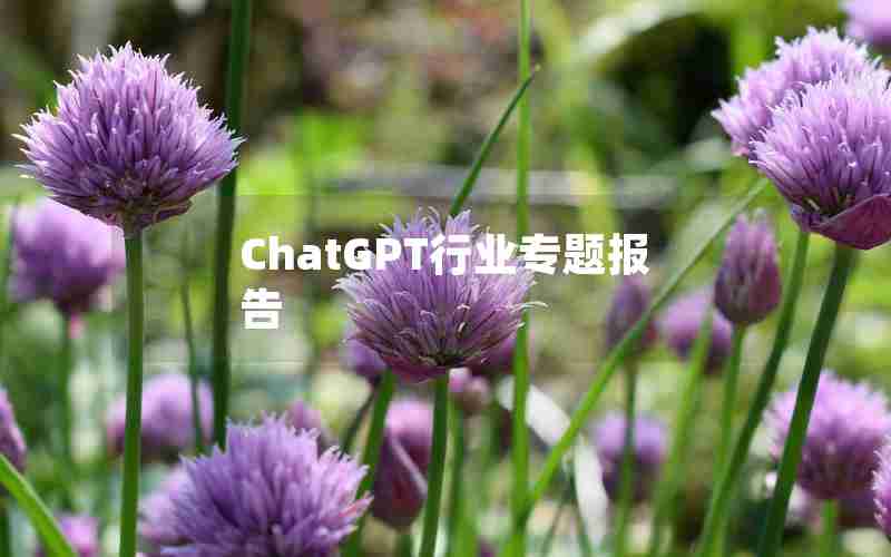 ChatGPT行业专题报告